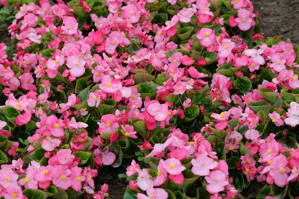 Les meilleures marques de pompes à chaleur en 2022